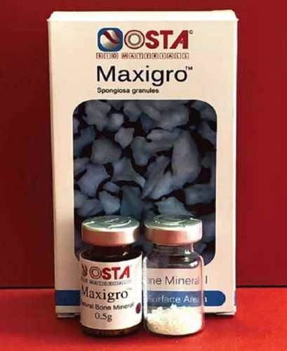 Sustituto óseo xenotransplante - OST-POW-L-0.5G - OSTA Biomaterials - para cirugía dental / gránulos