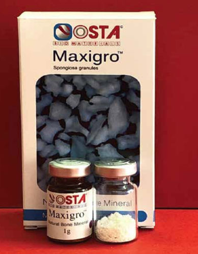 Sustituto óseo xenotransplante - OST-POW-L-1G - OSTA Biomaterials - para cirugía dental / gránulos