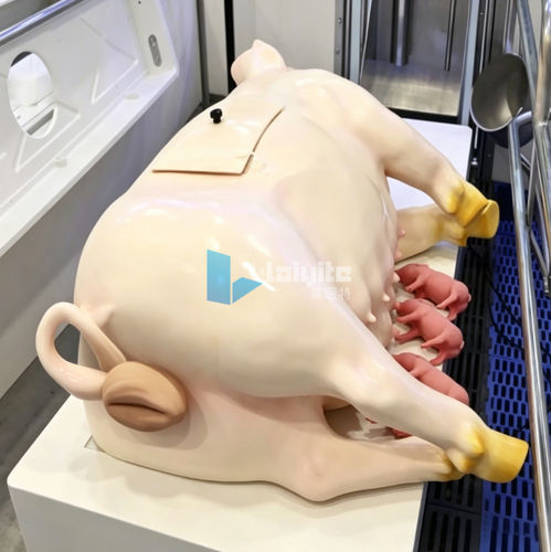 Simulador de mantenimiento - Nanjing Laiyite Electronic Technology Co., Ltd - veterinario