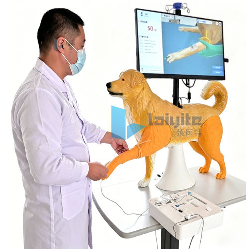 Simulador de formación - Nanjing Laiyite Electronic Technology Co., Ltd - veterinario / para atención general / de perro