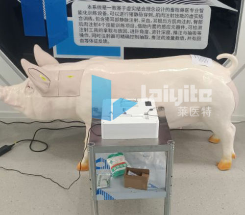 Simulador de formación - Nanjing Laiyite Electronic Technology Co., Ltd - quirúrgico / veterinario