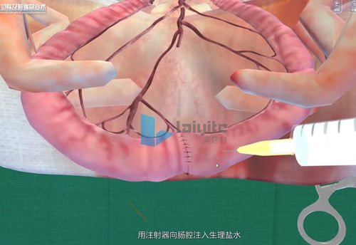 Software de simulación - Nanjing Laiyite Electronic Technology Co., Ltd - de formación / de evaluación / veterinario