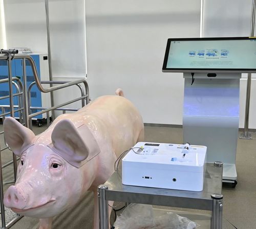 Simulador veterinario - Nanjing Laiyite Electronic Technology Co., Ltd - de inyección intramuscular / de inyección intravenosa / de extracción de sangre