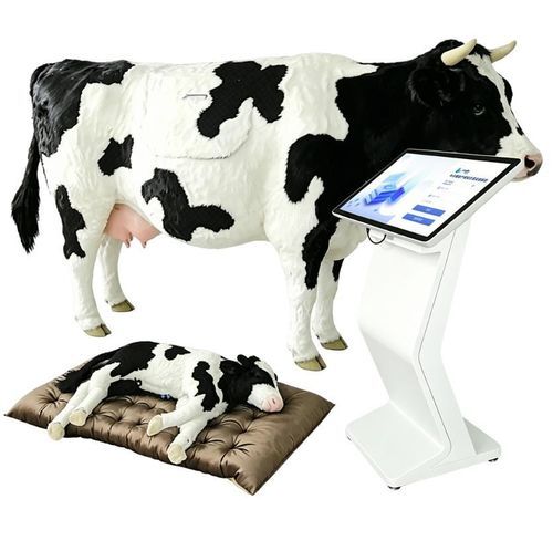 Simulador veterinario - Nanjing Laiyite Electronic Technology Co., Ltd - de parto / de formación / de bóvido