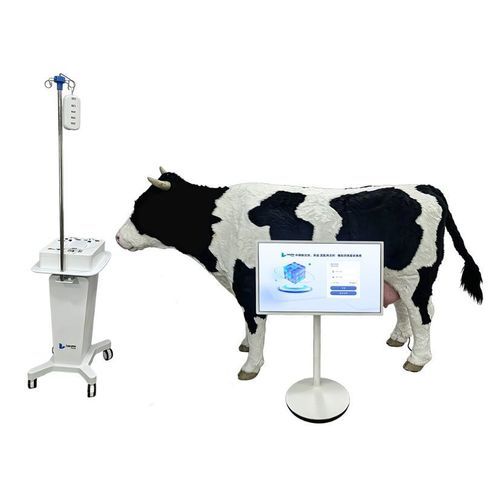 Simulador veterinario - Nanjing Laiyite Electronic Technology Co., Ltd - de inyección / de extracción de sangre / de formación