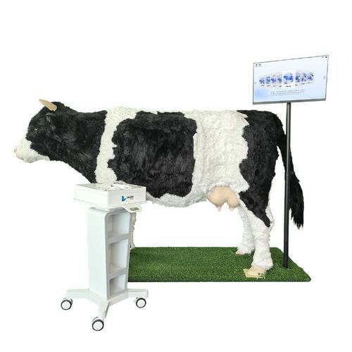 Simulador veterinario - Nanjing Laiyite Electronic Technology Co., Ltd - de punción / de formación / de bóvido