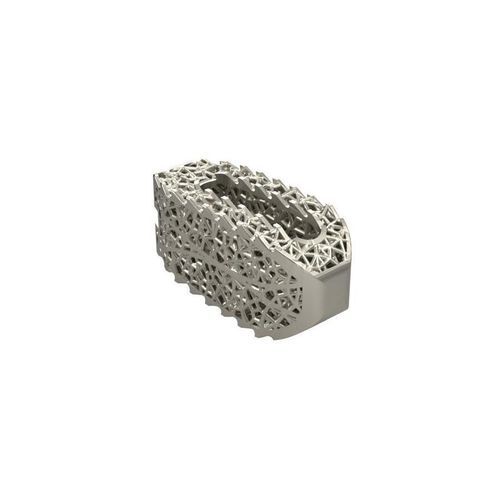 Caja intersomática lumbar - JMTmed - vía posterior / no especificado / de titanio