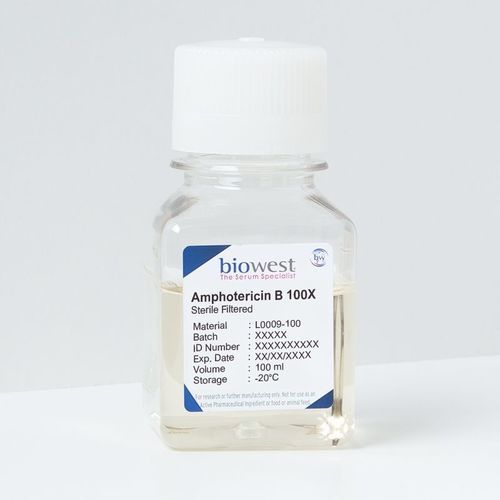 Reactivo anfotericina B - L0009 series - Biowest - fungicida / en solución / de producción