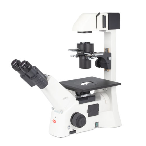 Microscopio óptico - AE31E - Motic Europe - de laboratorio / recto / Siedentopf