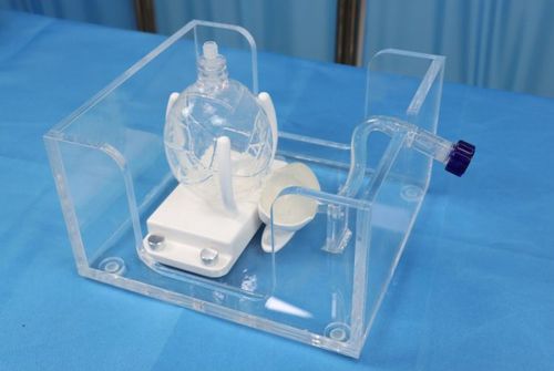 Simulador de palpación de la próstata - US-P001 - Yunes Medical Technology Limited - para endoscopia / de formación / para cuidados urológicos