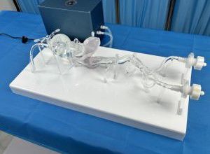 Modelo vascular de arteria - TAO001 - Yunes Medical Technology Limited - para cirugía vascular / de formación / transparente