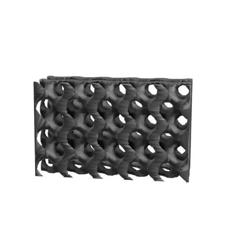 Caja intersomática veterinaria cervical - 05.0102 - Biosurgex - de titanio