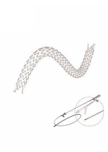 Stent ureteral - EUS series - Hunan Endovascular Device Co., Ltd. - de poliuretano / de nitinol / con recubrimiento