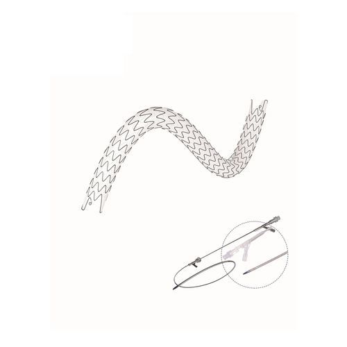 Stent ureteral - EUS series - Hunan Endovascular Device Co., Ltd. - de nitinol / con recubrimiento