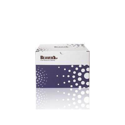 Kit de reactivos de bolas magnéticas - KD-HMM-0016 - Alta DiagnoTech - para extracción de ADN / de ADN genómico