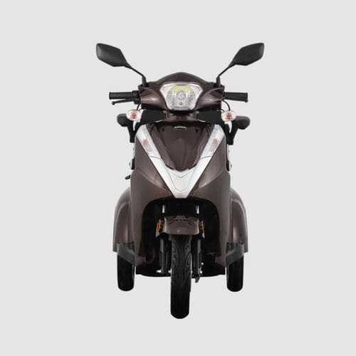 Scooter para movilidad reducida eléctrico - Vista-2 - Vigrous - 3 ruedas