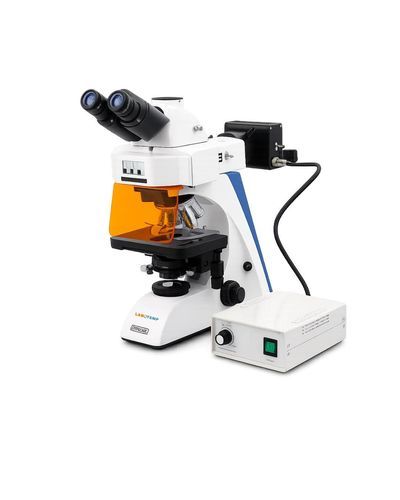 Microscopio óptico - LFM-01 - Labotemp Systems - clínico / para biología / de laboratorio