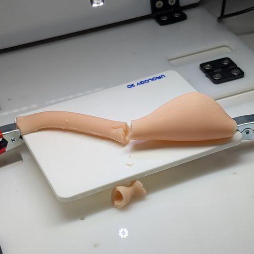 Simulador para cuidados urológicos - Urology3D - de cirugía / de formación / de disección