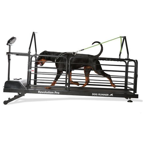 Cinta de correr veterinaria para perros - Revolution Pro - DOG RUNNER - de velocidad ajustable / inclinada
