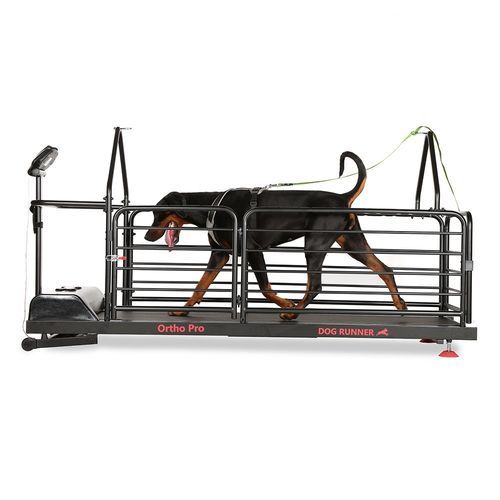 Cinta de correr veterinaria para perros - Ortho Pro - DOG RUNNER - con superficie antideslizante / de velocidad ajustable / inclinada