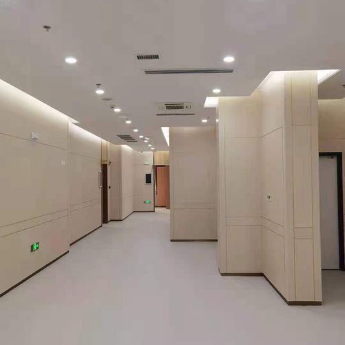 Panel de hospital - Changzhou Zhongtian Fire-proof Decorative Sheets Co., Ltd. - sala blanca / antiincendios