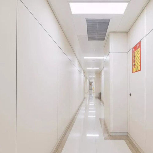 Panel de hospital - Changzhou Zhongtian Fire-proof Decorative Sheets Co., Ltd. - antiincendios