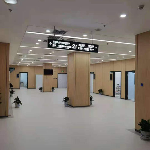 Estructura de muros para el sector médico - A1 - Changzhou Zhongtian Fire-proof Decorative Sheets Co., Ltd. - para centro sanitario