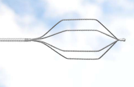 Cesta endoscopica para extracción de cálculos biliares - Focuz Medical - recta