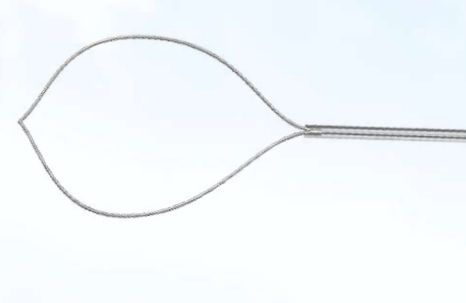 Cesta endoscopica para la extracción de pólipos intestinales - AXTEL SNARE™ - Focuz Medical - recta