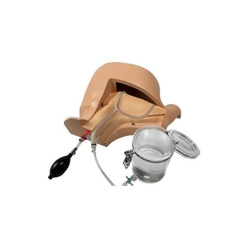 Simulador de anatomía - CVC-B01 - SurgMate - para atención general / de palpación / de punción