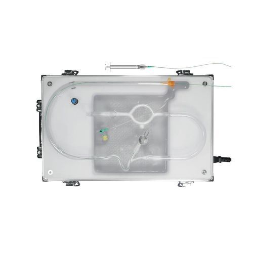 Simulador de neurocirugía - AVM-B01 - SurgMate - de formación / para embolia cerebral / para intervención neurovascular