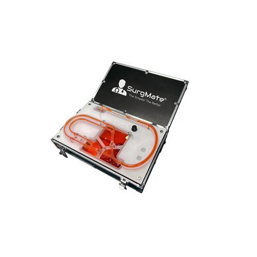 Modelo vascular de sistema circulatorio - CBS-B01 - SurgMate - de arterias coronarias / de formación / con vasos sanguíneos