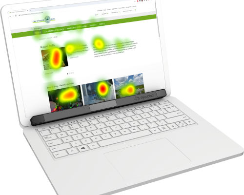 Oculómetro para la investigación - EyeLogic Lite - EyeLogic - portátil / de mesa / de vídeo