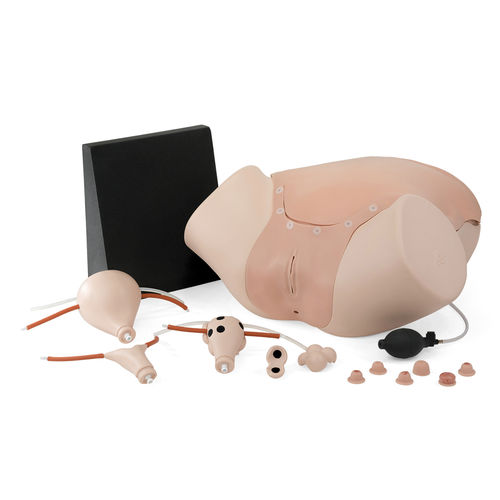 Maniquí de prácticas para cuidados ginecológicos - P91  - 3B Scientific   - de cateterismo / femenino / de pelvis