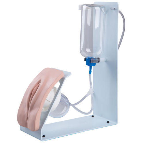 Simulador de cateterismo - P93B-F  - 3B Scientific   - femenino / de vagina