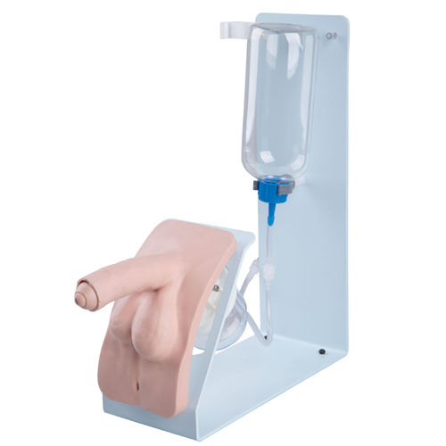 Simulador de cateterismo - P93B-M - 3B Scientific   - masculino / de pene