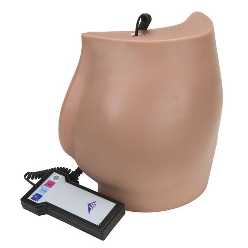 Simulador de inyección intramuscular - P57  - 3B Scientific   - para atención general / de nalga / con retroalimentación en tiempo real
