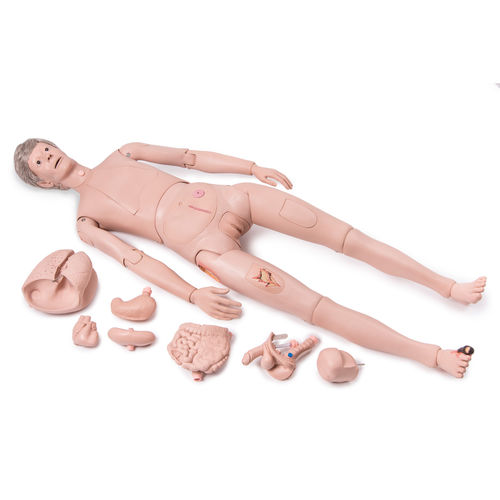 Maniquí de prácticas para atención general - P10/1 - 3B Scientific   - adulto