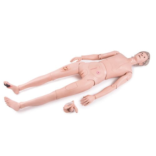 Maniquí de prácticas para atención general - P11/1  - 3B Scientific   - adulto