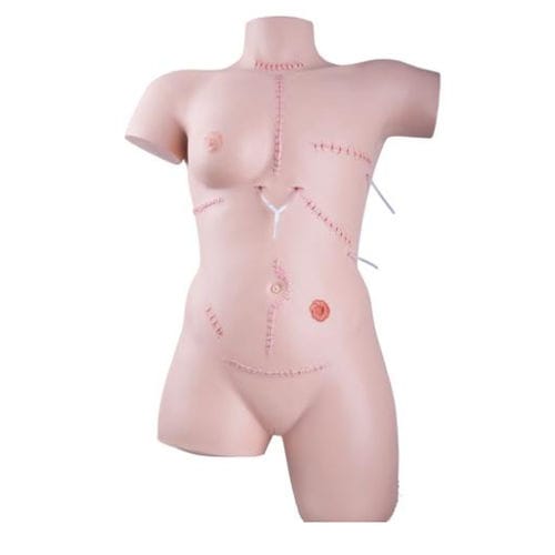 Simulador para sutura de heridas - P100 - 3B Scientific   - de cirugía / de torso