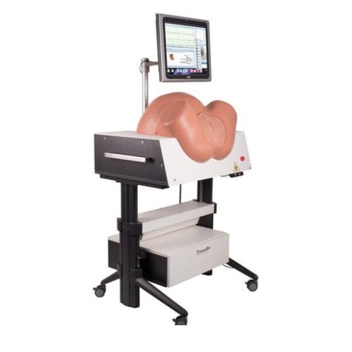 Simulador de parto - P80/1 - 3B Scientific   - de formación / obstetricoginecológico / de embarazo