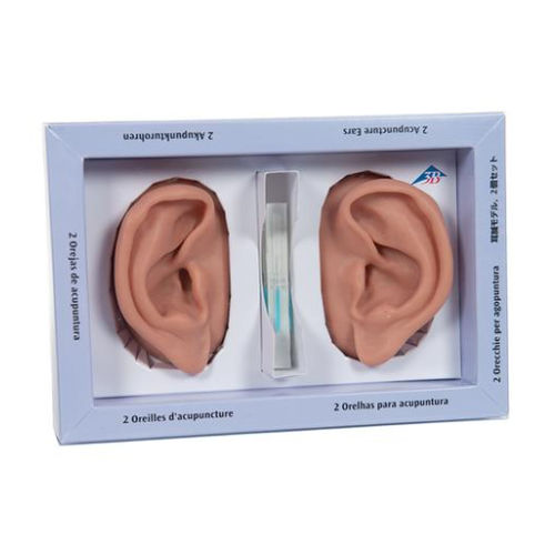 Modelo anatómico de oreja - N15  - 3B Scientific   - de acupuntura