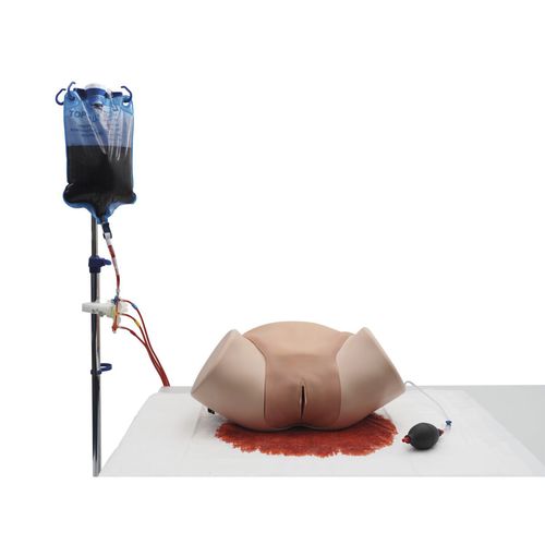 Simulador de formación - P97P - 3B Scientific   - obstetricoginecológico / con trauma / de mujer