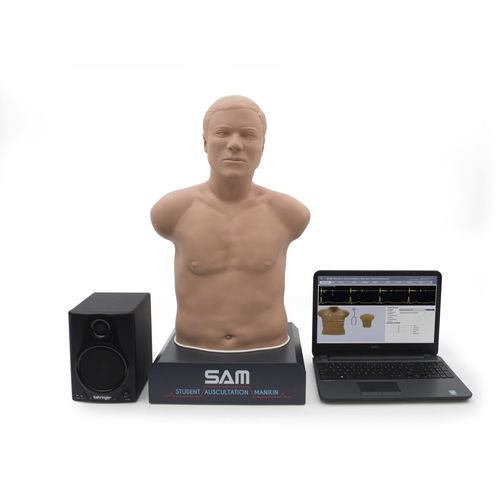Maniquí de prácticas de auscultación - SAM 3G&reg; - 3B Scientific   - para cuidados de urgencias / adulto / de torso
