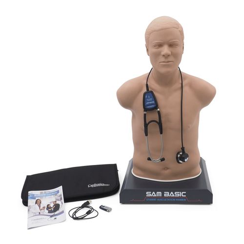 Maniquí de prácticas de auscultación - SAM Basic® - 3B Scientific   - para cuidados de urgencias / adulto / de torso
