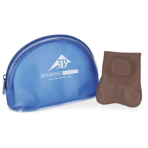 Modelo anatómico de piel - L60D - 3B Scientific   - de formación / masculino