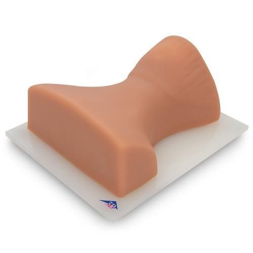 Simulador de inyección intraósea - P67 - 3B Scientific   - para la radiología intervencionista / para cuidados clínicos / pad