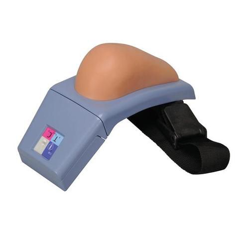 Simulador de inyección intramuscular - P55/1 - 3B Scientific   - de formación / de palpación / para cuidados clínicos