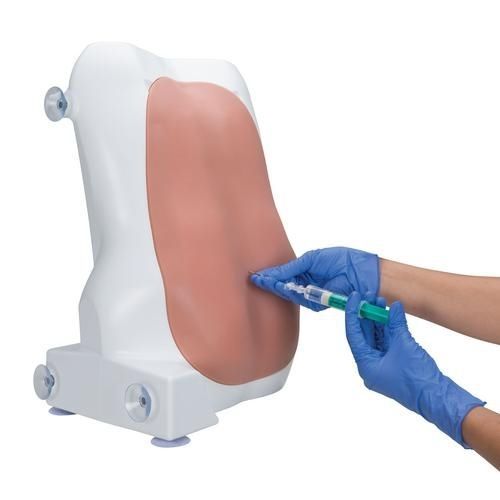 Simulador de anestesia epidural - P61 - 3B Scientific   - para cuidados clínicos / de torso / háptico