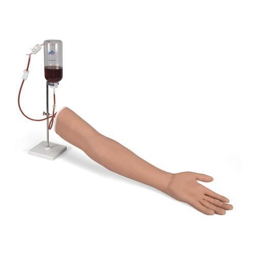 Simulador de inyección intravenosa - P50/1 - 3B Scientific   - para cuidados de enfermería / de brazo